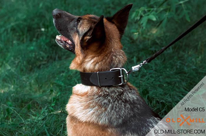 Extra Strong Collar for German Shepherd
