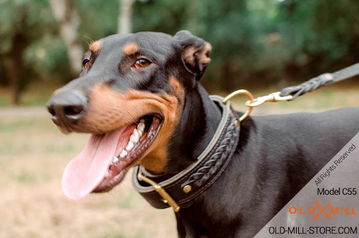 2ply Leather Dog Collar for Doberman