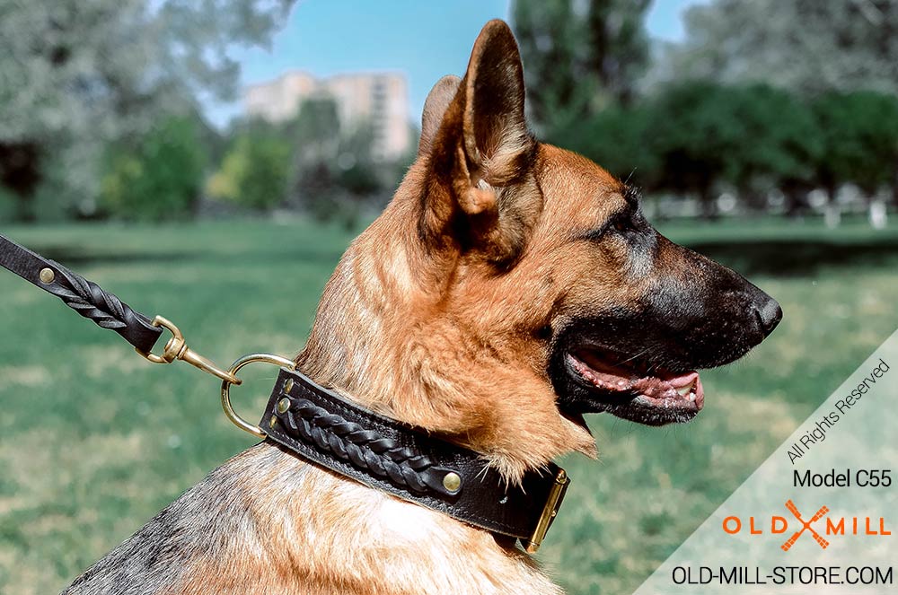 Double Leather German Shepherd Collar with Brass D-Ring for Leash attachment