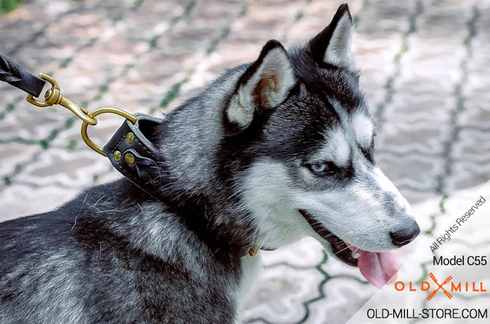 Double Leather Husky Collar with Brass D-Ring for Leash attachment