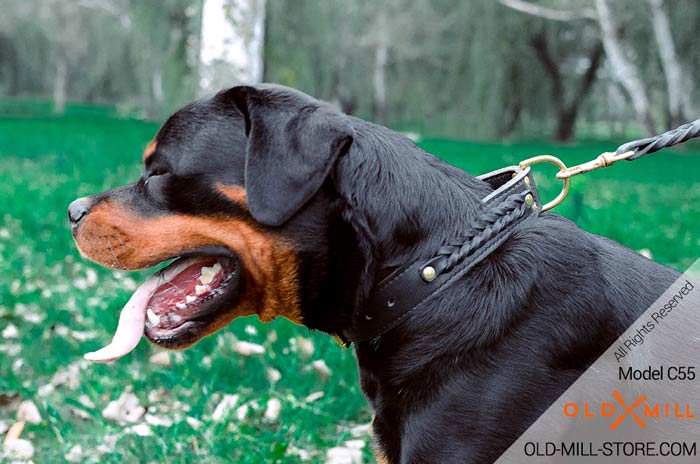 Double Leather Rottweiler Collar with Brass D-Ring for Leash attachment