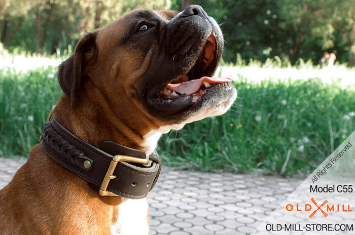 Double Leather Dog Collar for Boxer Breed