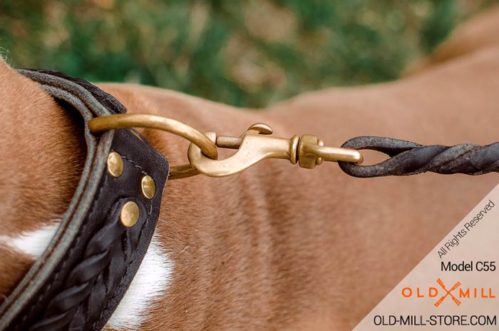 Double Leather Amstaff Collar with Brass D-Ring for Leash attachment