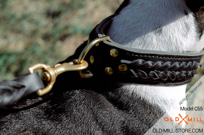 Double Leather Dog Collar with Brass D-Ring for Leash attachment