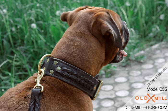 Double Leather Boxer Collar with Brass D-Ring for Leash attachment