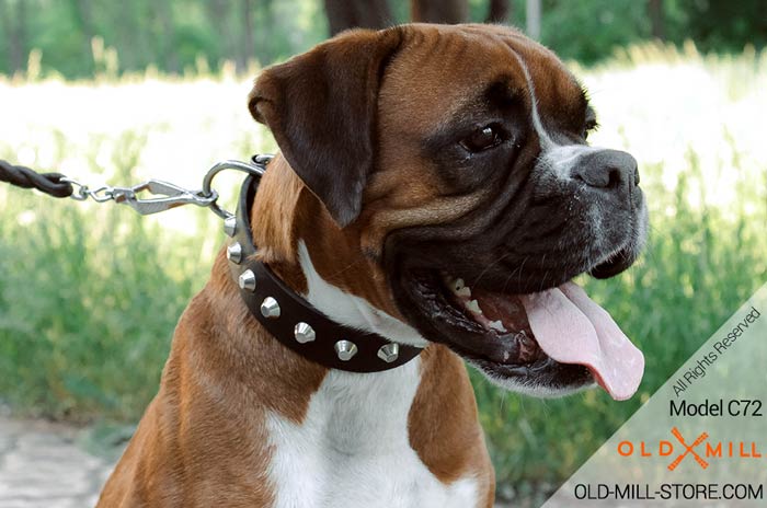 Boxer Collar Studded with Pyramids