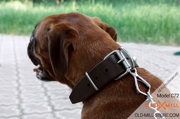 Boxer Collar with D-Ring for Leash Attachment