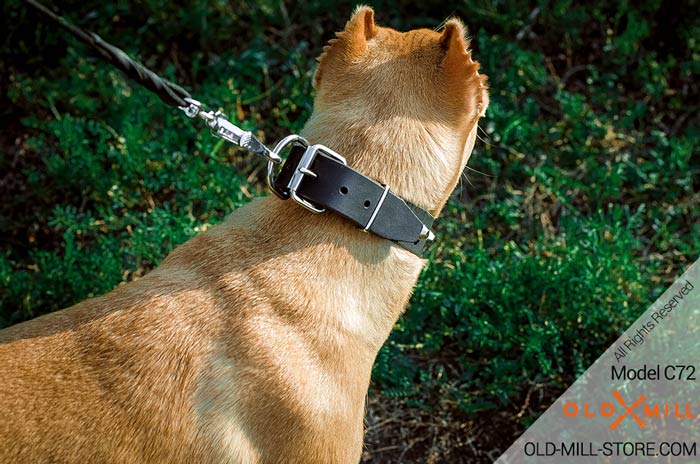 Buckle Collar with Handset Nickel Pyramids