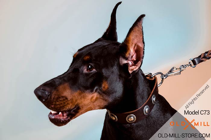 Soft leather walking dog collar with amazing handmade decoration for Doberman