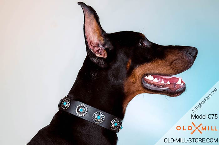 Leather Dog Collar for Doberman Walking