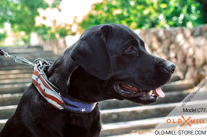 Hand Painted Leather Dog Collar for Labrador