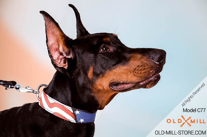 Hand Painted Leather Dog Collar for Doberman