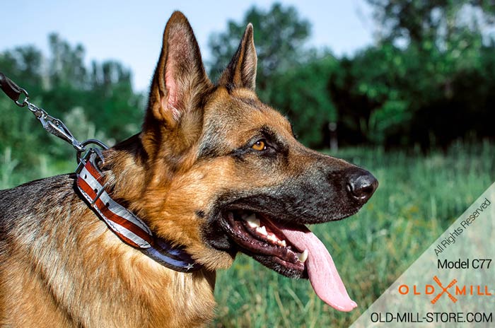 Leather German Shepherd Collar for True Patriots