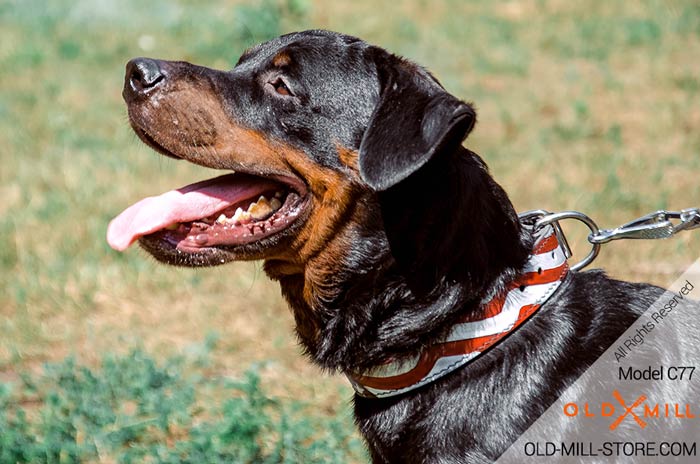 Patriotic Design Leather Rottweiler Collar