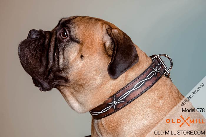 Leather Bullmastiff Collar with Stylish Barbed Wire Drawing