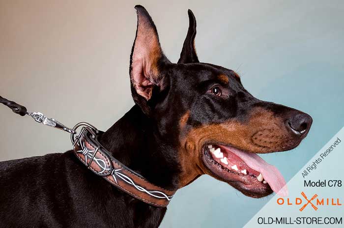 Doberman Leather Dog Collar with Painting