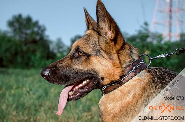 German Shepherd Leather Dog Collar with Painting