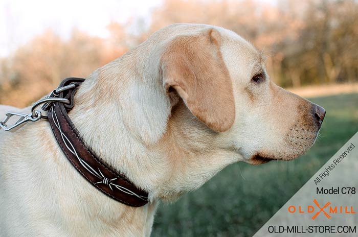 Handmade Leather Labrador Collar