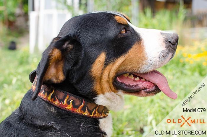 Hand Painted Flames on Designer Leather Swiss Mountain Dog Collar