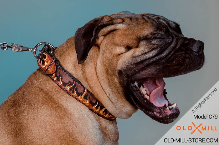 Hand-Painted with Flames Leather Bullmastiff Collar