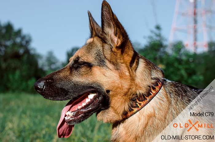 Handmade Leather Dog Collar for German Shepherd