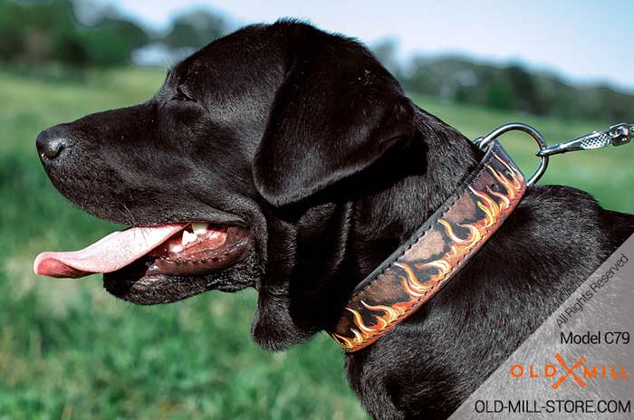 Handmade Leather Dog Collar for Labrador