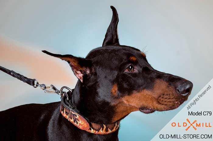 Handmade Leather Dog Collar for Doberman