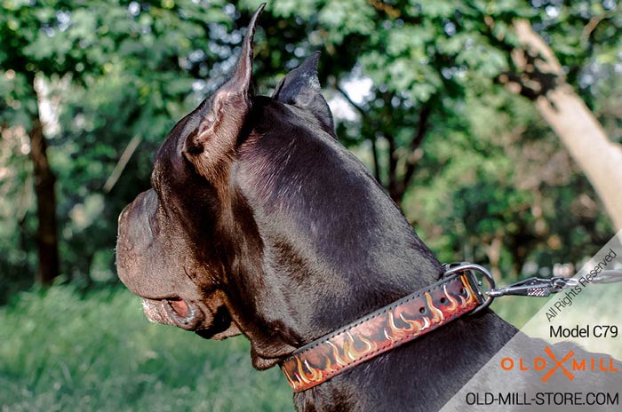 Handmade Leather Dog Collar for Great Dane
