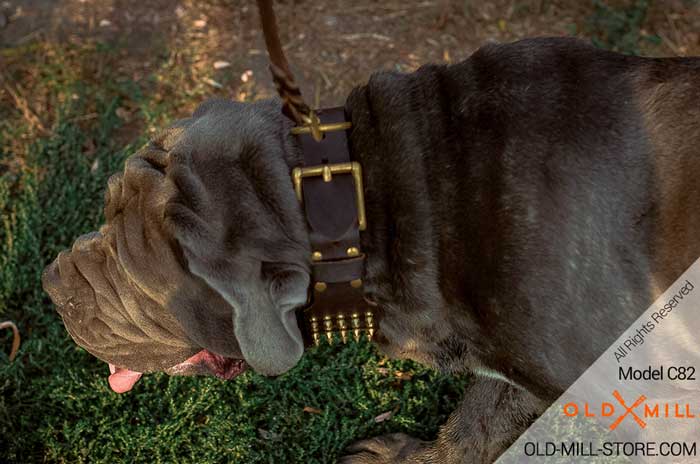 3 inch Wide Leather Mastino Collar