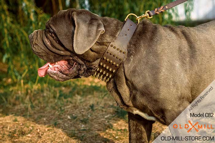 Everyday Spiked Leather Mastino Collar