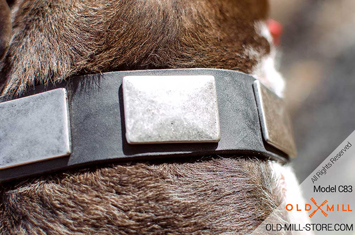 Leather Dog Collar with Silver-like Plates