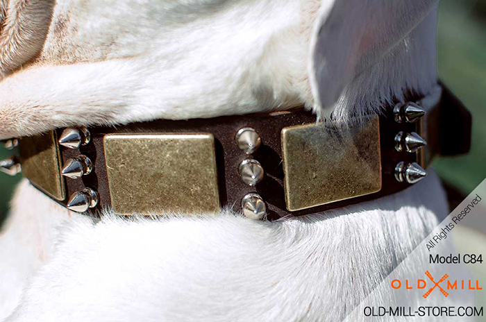 War-Style Leather Dog Collar for American Bulldog