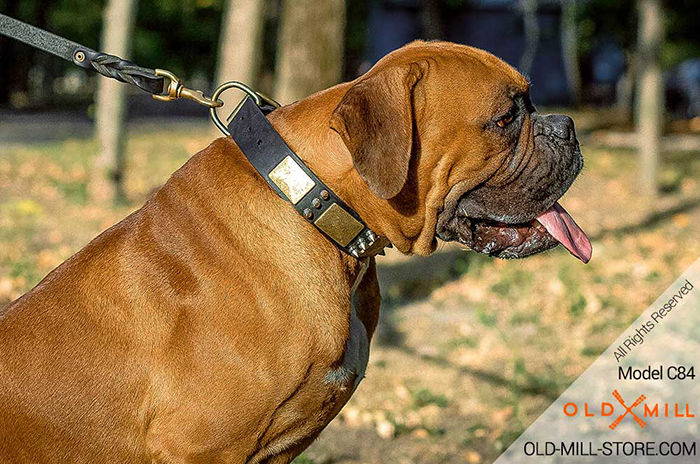 Boxer Leather Collar with Vintage Plates