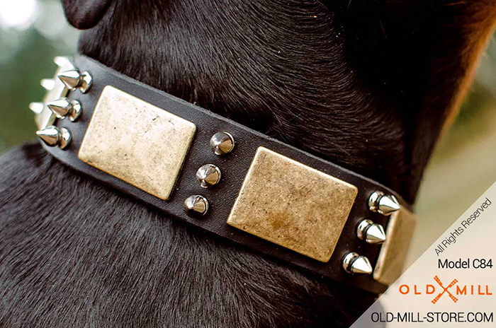 Spiked Dog Collar with Vintage Massive Plates