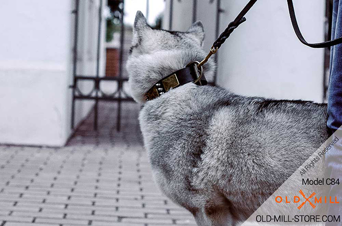 Decorated with Spikes and Plates Leather Collar for your Siberian Husky