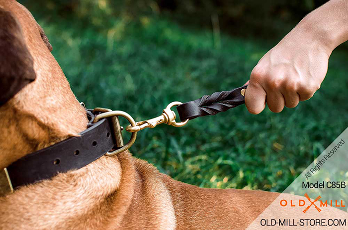 Handcrafted Dog Gear with decoration an d-ring