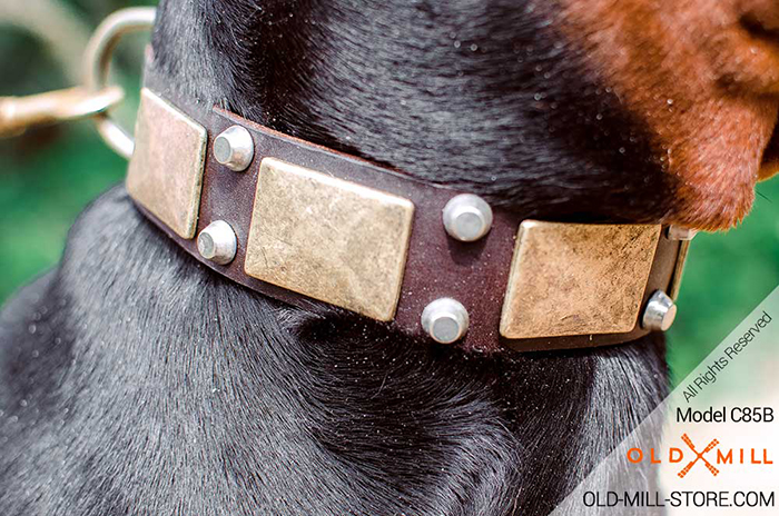 Leather Doberman Collar with Studs and D-Ring durable D-ring for Attaching a Leash