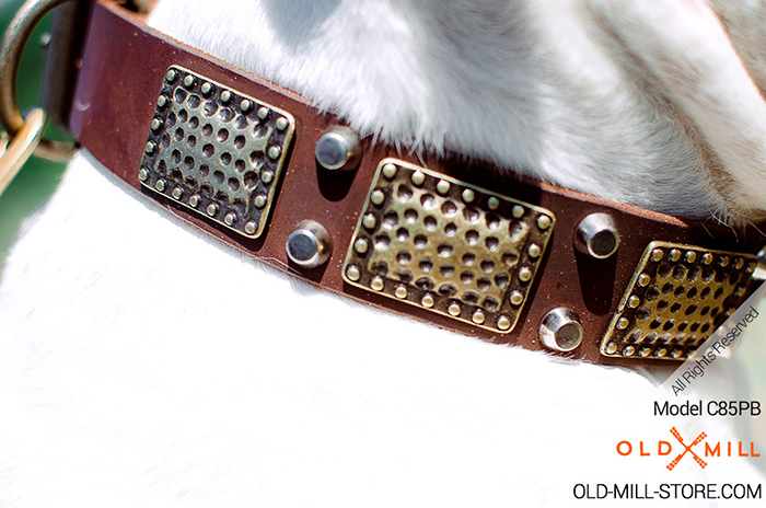 Designer Leather Dog Collar with Massive Plates