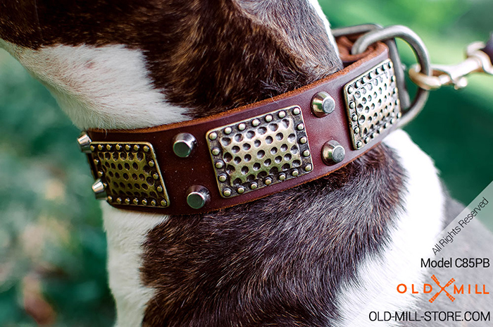 Leather Dog Collar with Large Vintage Look Rusted Brass Plates