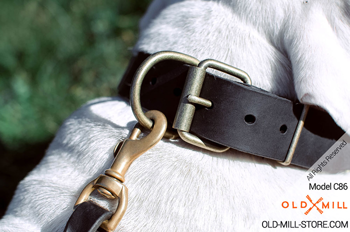 Leather Dog Collar with Massive D-ring