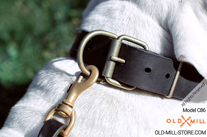 Leather Dog Collar with Massive D-ring