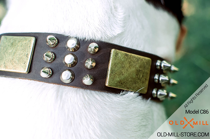  Exclusive Leather Bulldog Collar with Spikes