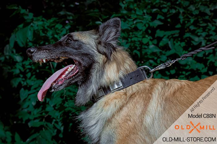 Tervuren Collar with Large Plates