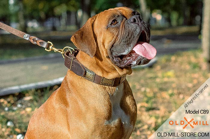 Boxer Collar with Vintage Brass Plates