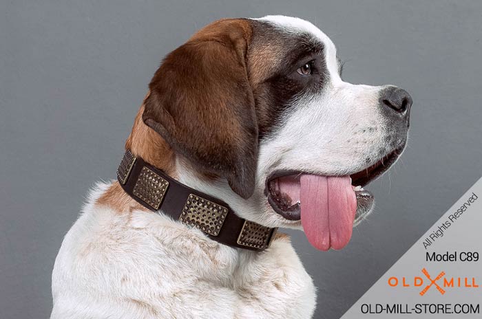 Decorated Dog Collar for Moscow Watchdog