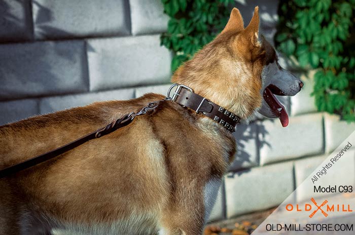 Siberian Husky Collar Designer Handmade