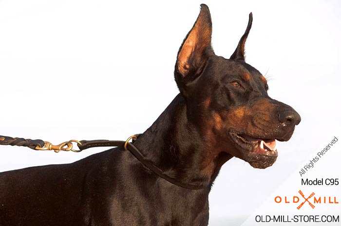 Dog Collar Choker for Doberman Training