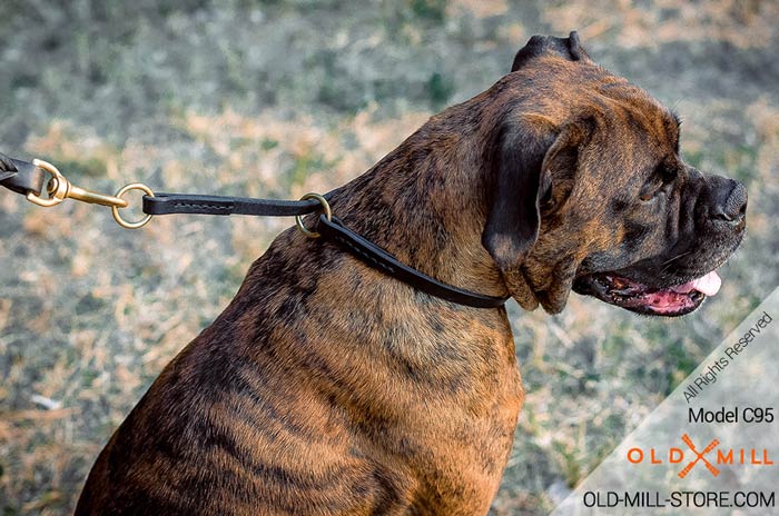 Boxer Leather Collar Choker