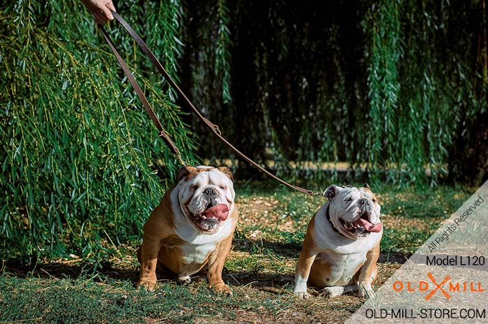 Leather Dog Leash with Two Snap Hooks