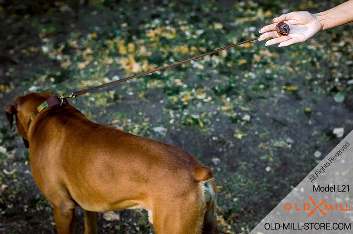 Pocket Dog Leash for Better Control